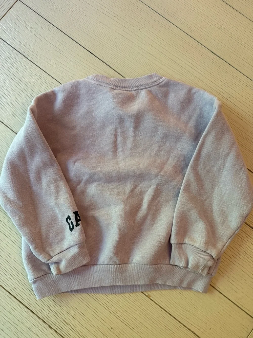 GAP disney princess sweatshirt